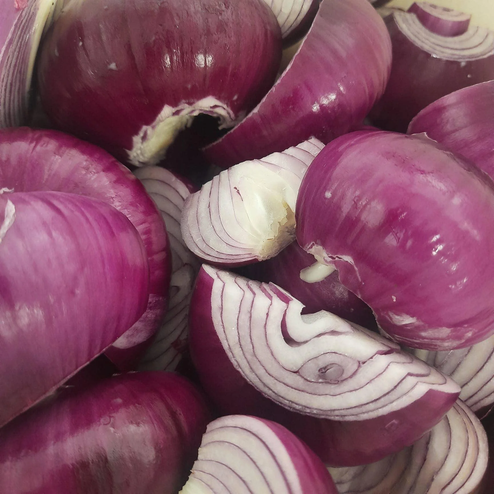 Fruits of the Forage - Plum and Red Onion Chutney (200g) - Image 2