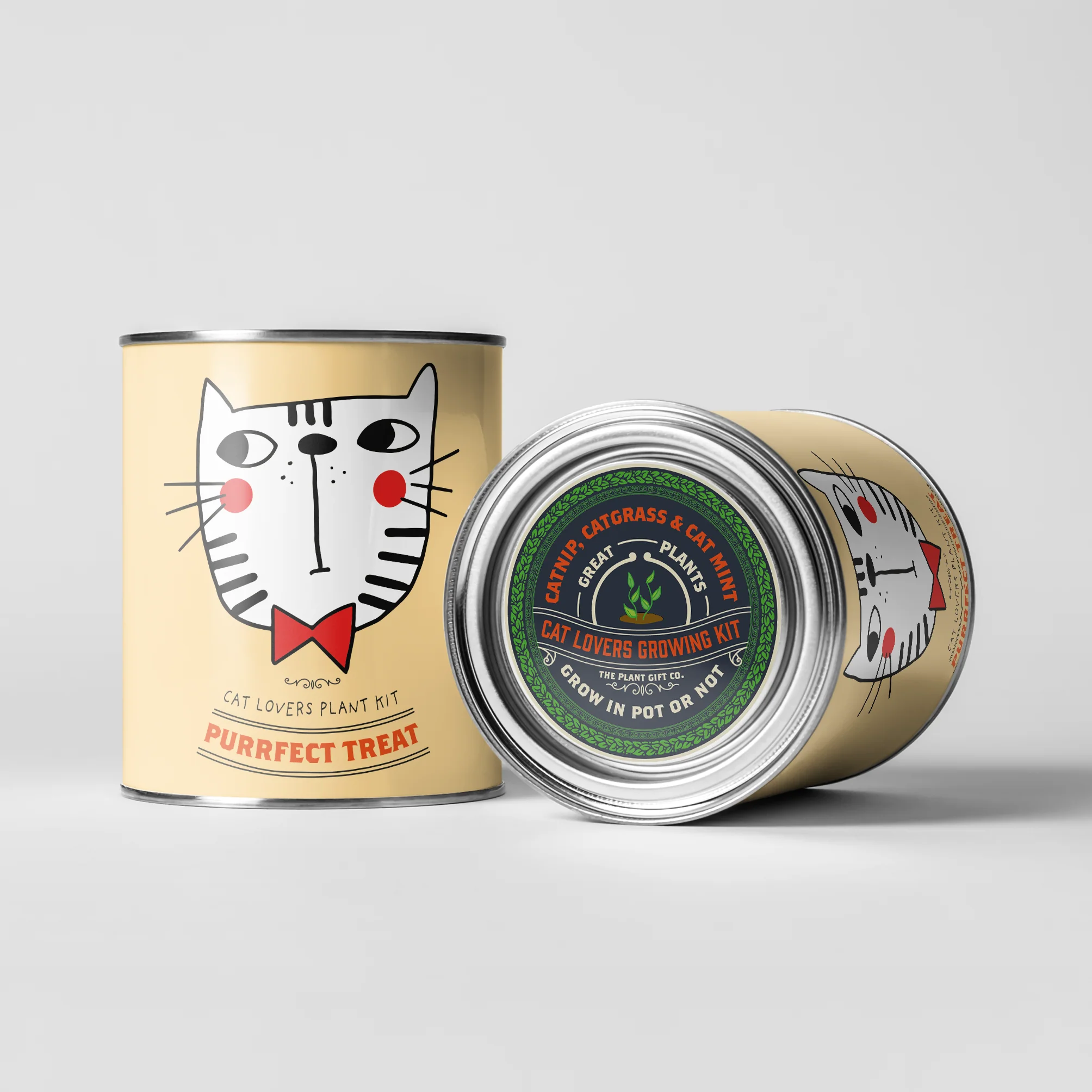 The Plant Gift Co. Purrfect Treat Eco Grow Your Own Plant Kit - Image 2
