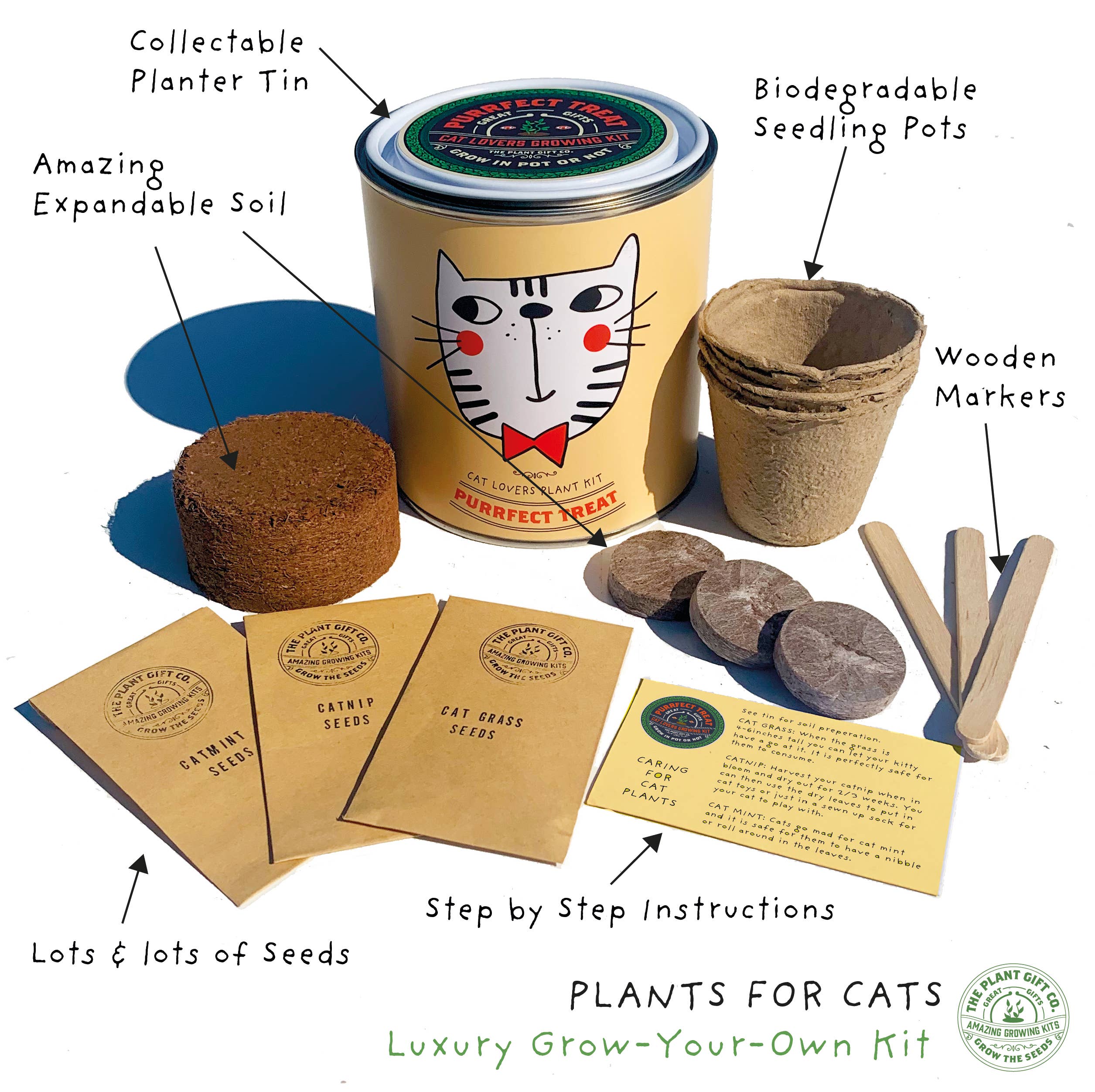 The Plant Gift Co. Purrfect Treat Eco Grow Your Own Plant Kit - Image 3