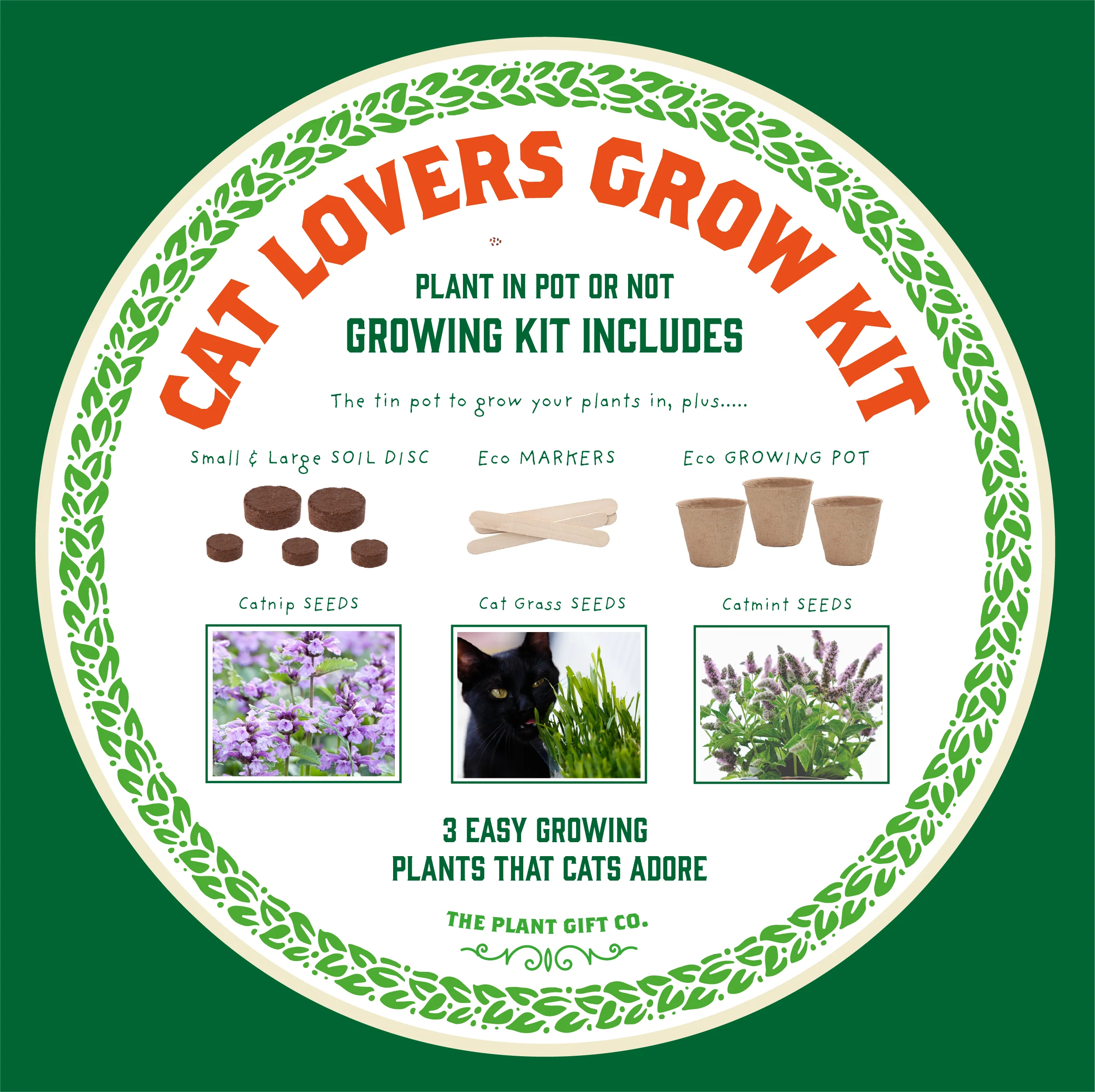 The Plant Gift Co. Purrfect Treat Eco Grow Your Own Plant Kit - Image 8