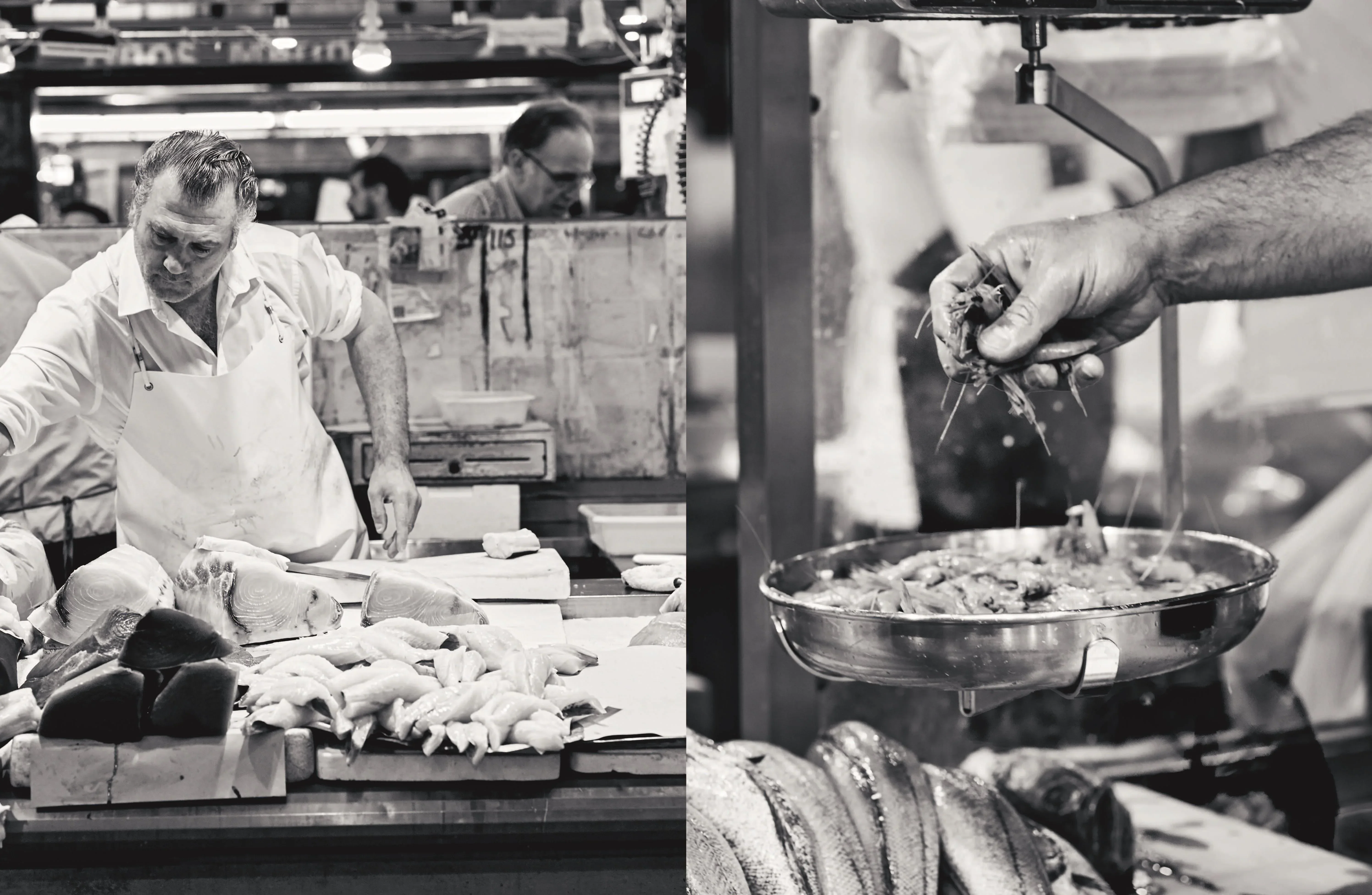 Recipes from Andalusia by Jose Pizarro - Image 2