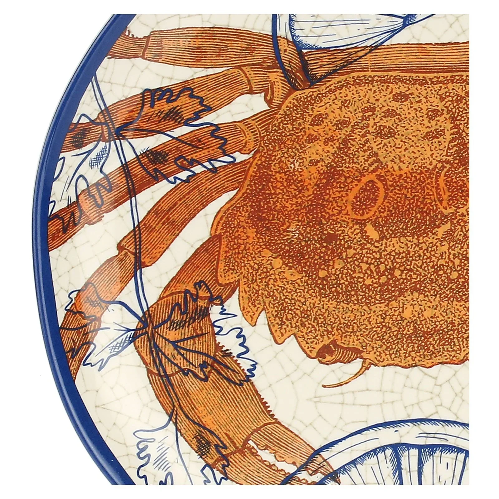 Rose & Tulipani Ocean Life Set 2 Dessert Plates - Coastal (22cm) - Image 3