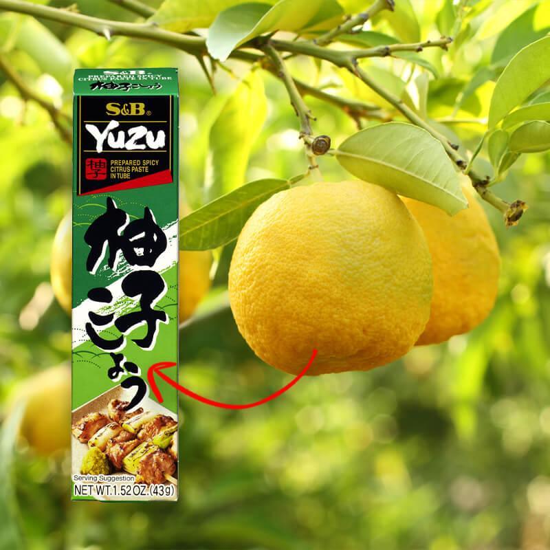 S&B Spicy Citrus Yuzu Paste (43g) - Image 3