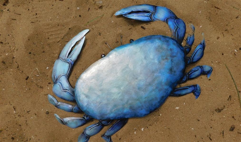 Shoeless Joe Blue Crab Wall Art - Image 4