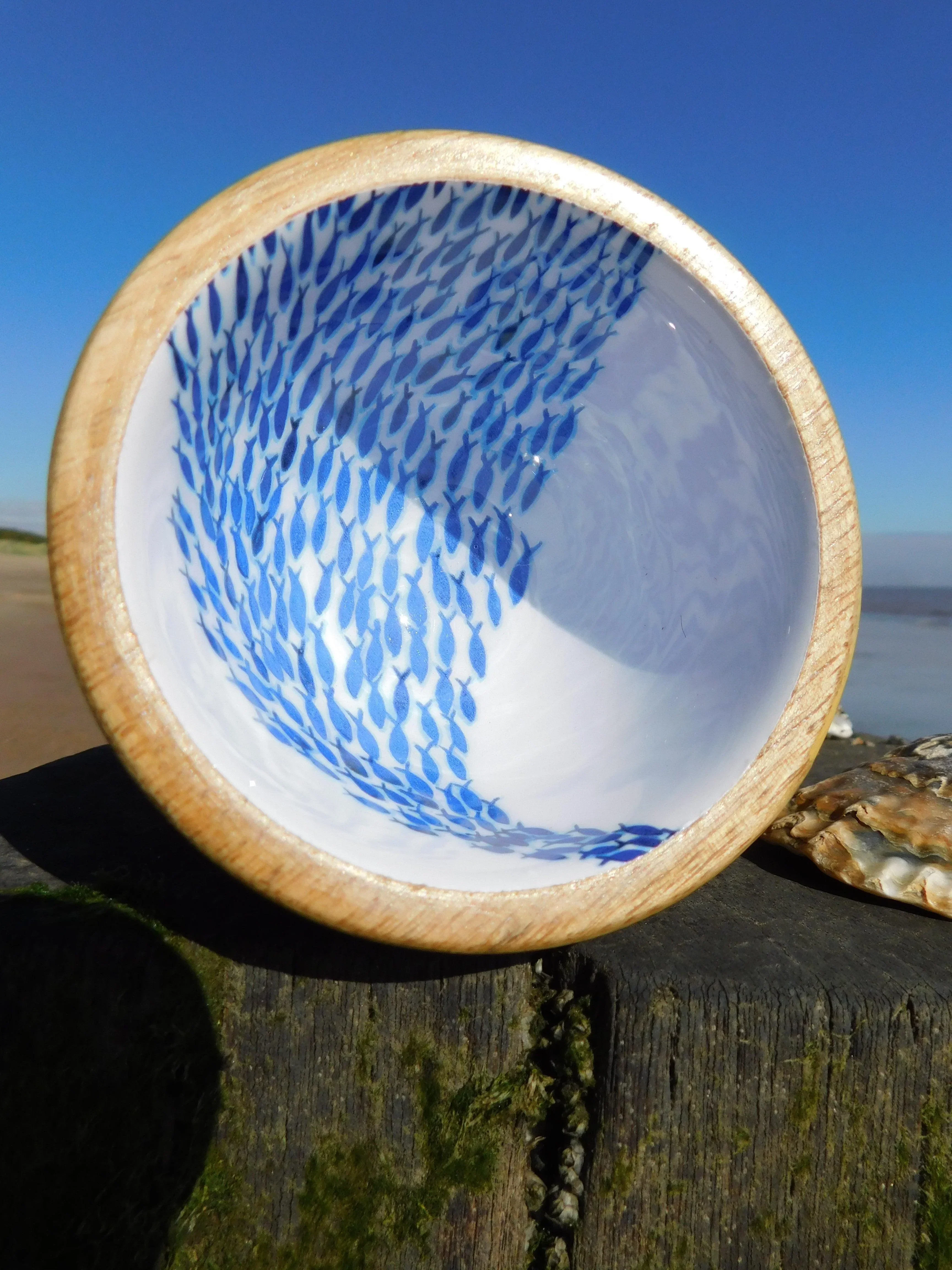 Shoeless Joe Fish Shoal Nut Bowl (10cm) - Image 3