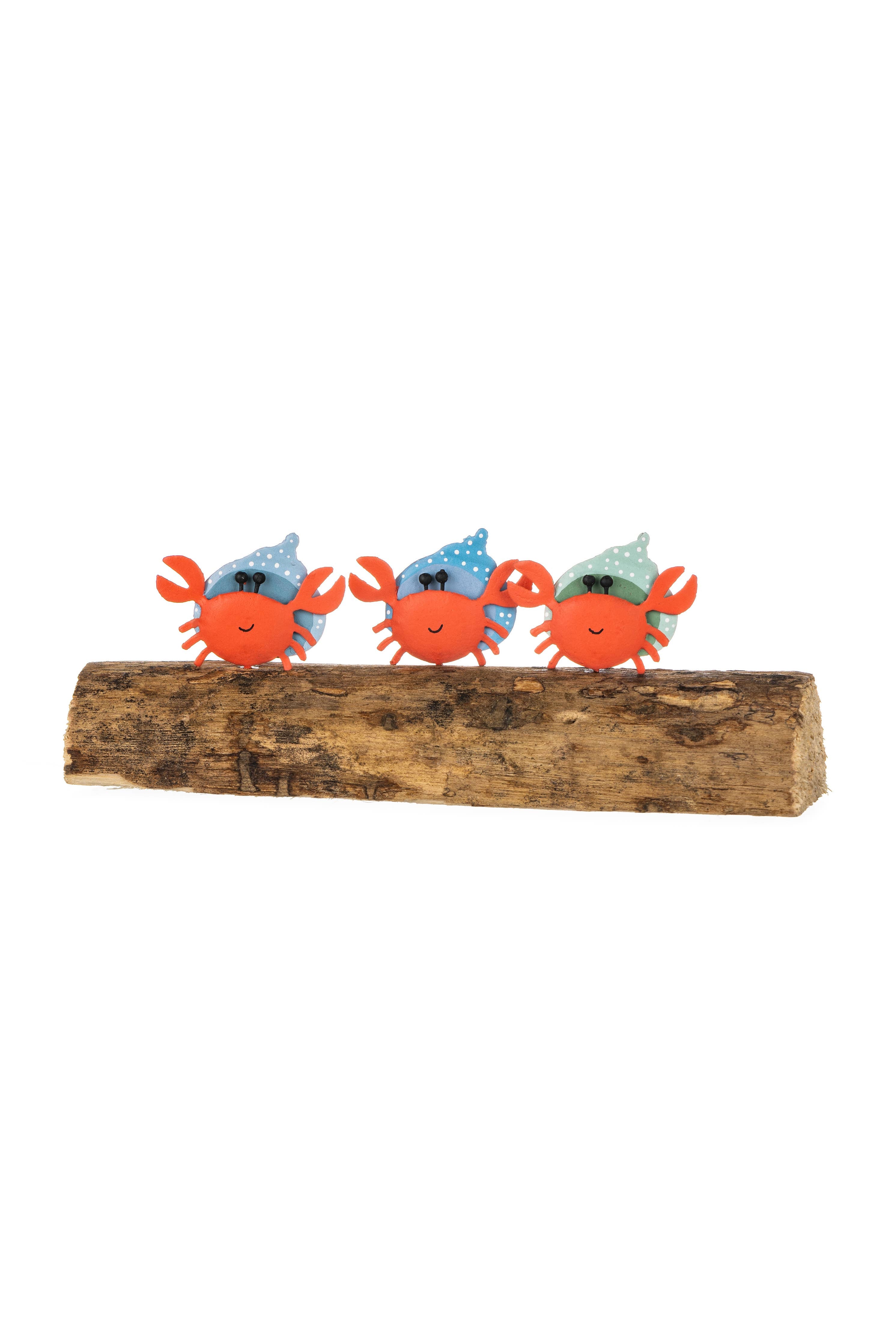Shoeless Joe Three Hermit Crabs (7.5cm)