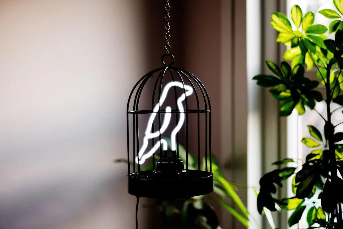 Suck UK Neon Bird In a Cage - Image 4