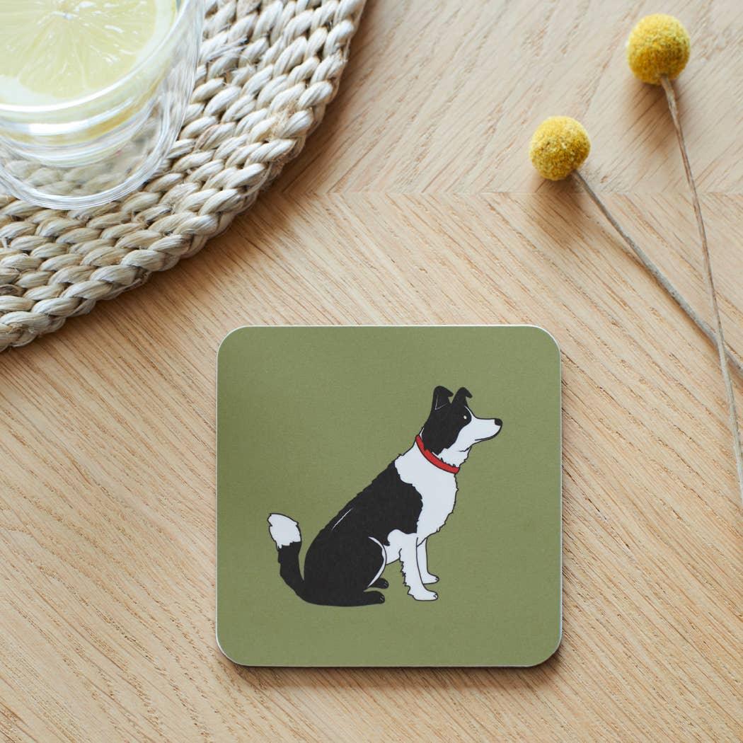 Sweet William Coaster - Border Collie