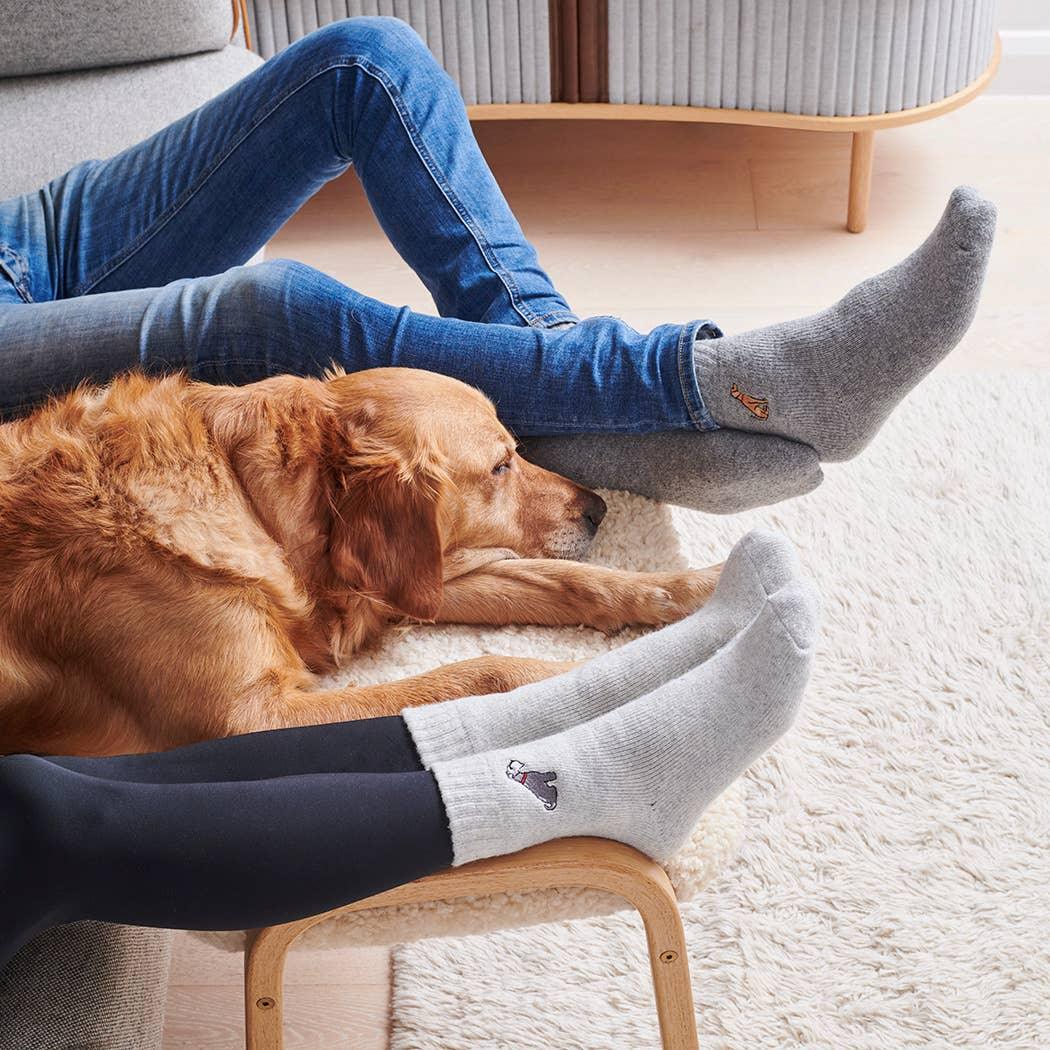 Sweet William Dog Walking Socks - Cocker Spaniel (Black) - Image 5