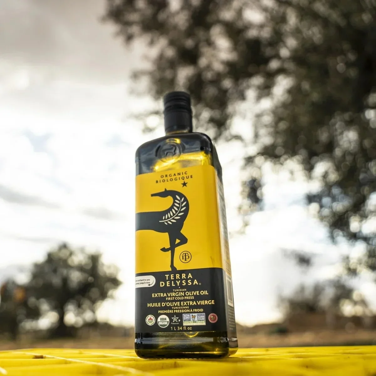 Terra Delyssa Organic Extra Virgin Olive Oil (1Lx2) - Image 3