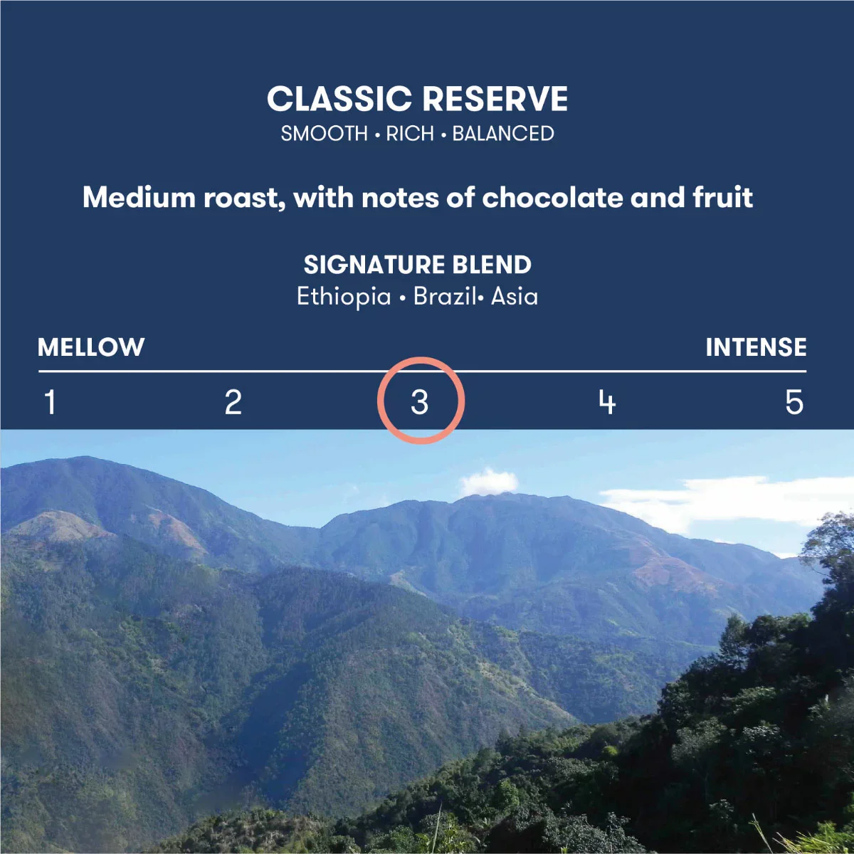 The Little Coffee Company Classic Reserve Whole Beans (1kg) - Image 2