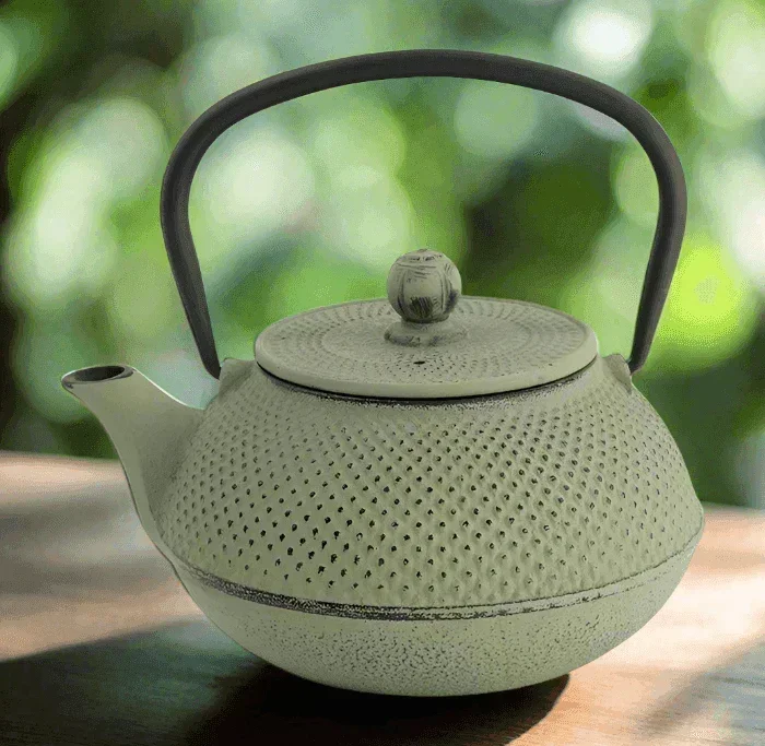 Tokyo Design Studio WY Iron Stovetop Kettle Arare - Green/Grey (0.6L) - Image 4