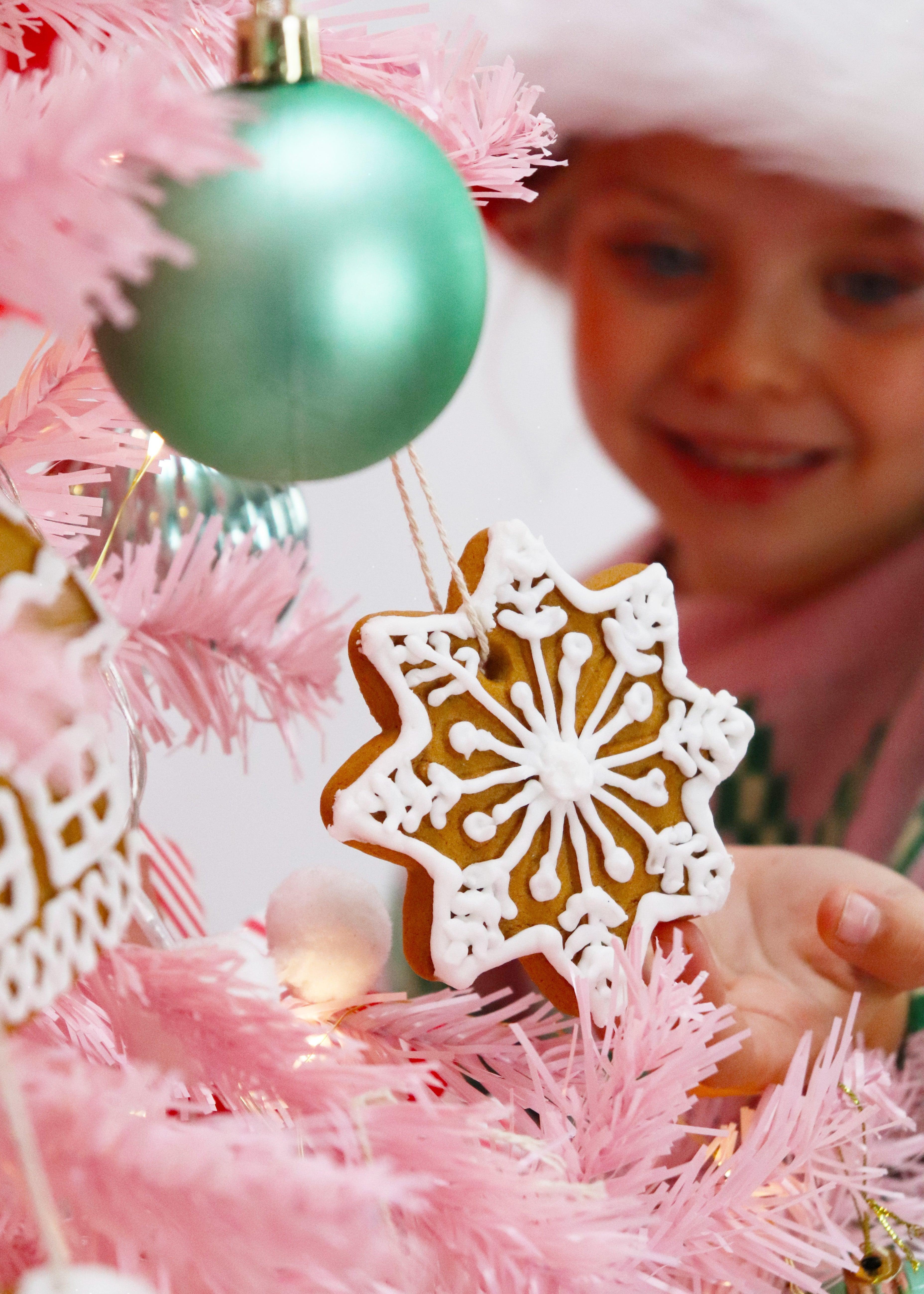Treat Kitchen Gingerbread Biscuit Tree Decorations Kit (740g) - Image 5