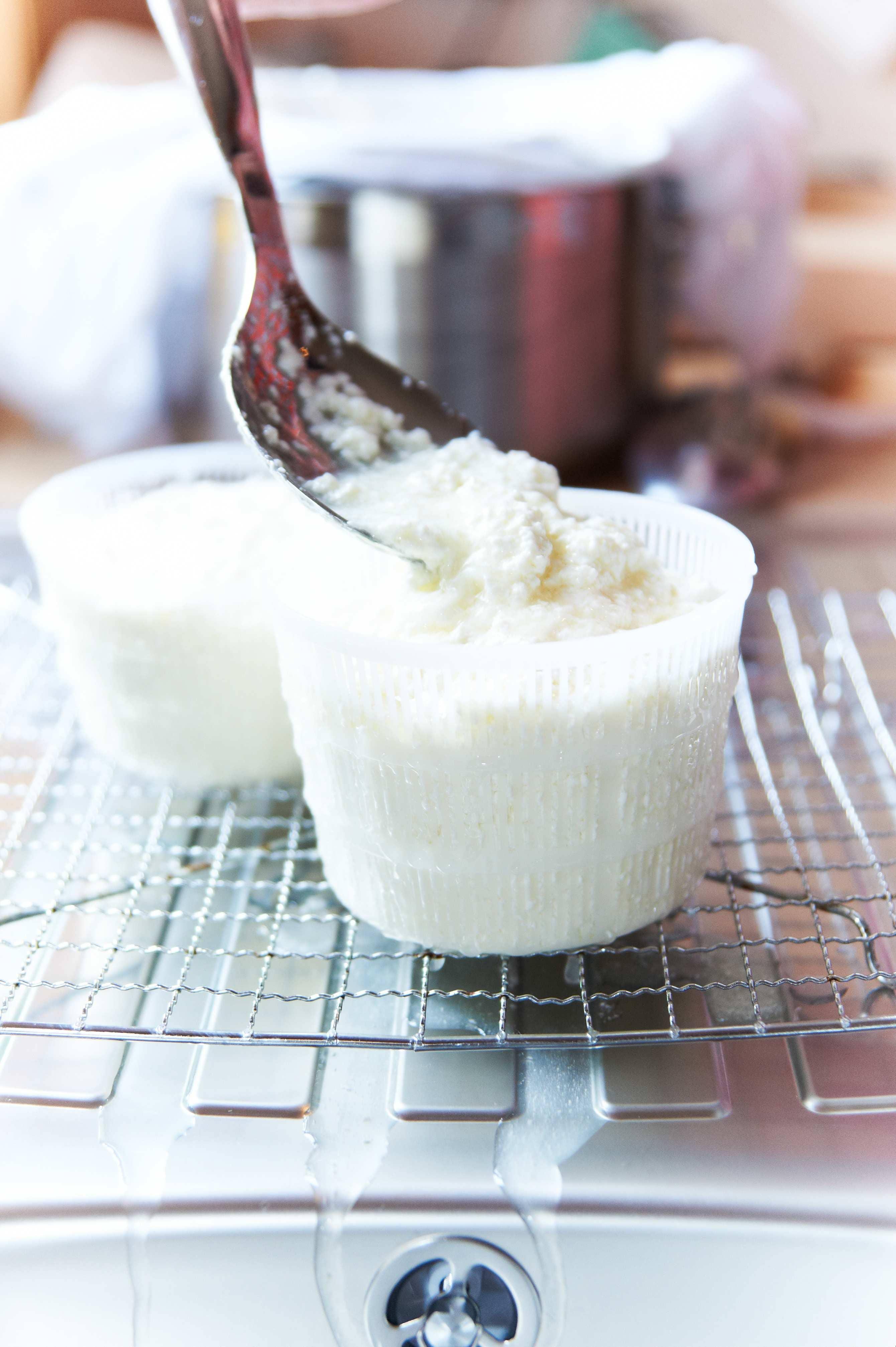 Wallace & Gromit 'Cheeses of the World' Cheese Making Kit - Image 2