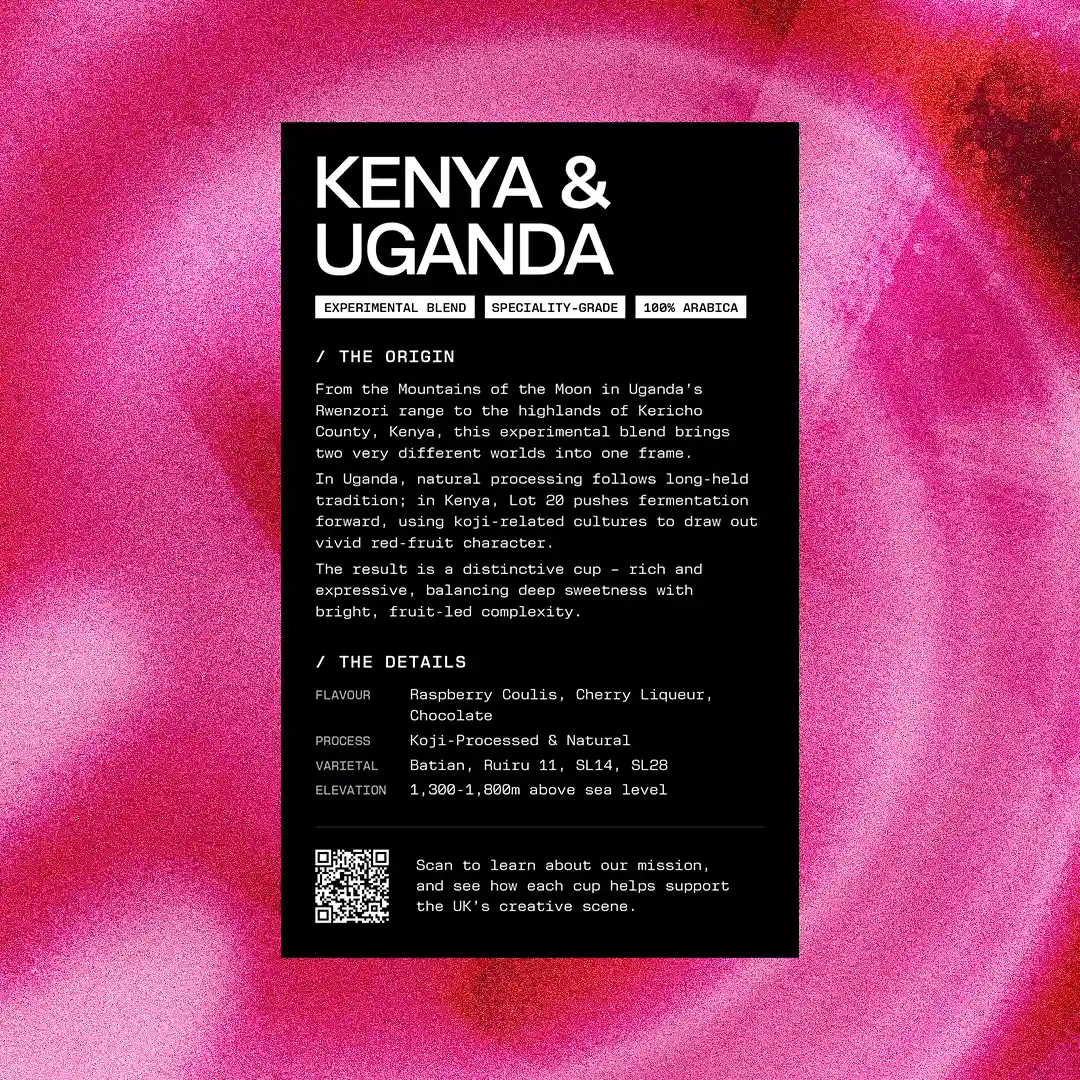 Studio Black Wrap Party - Image 2