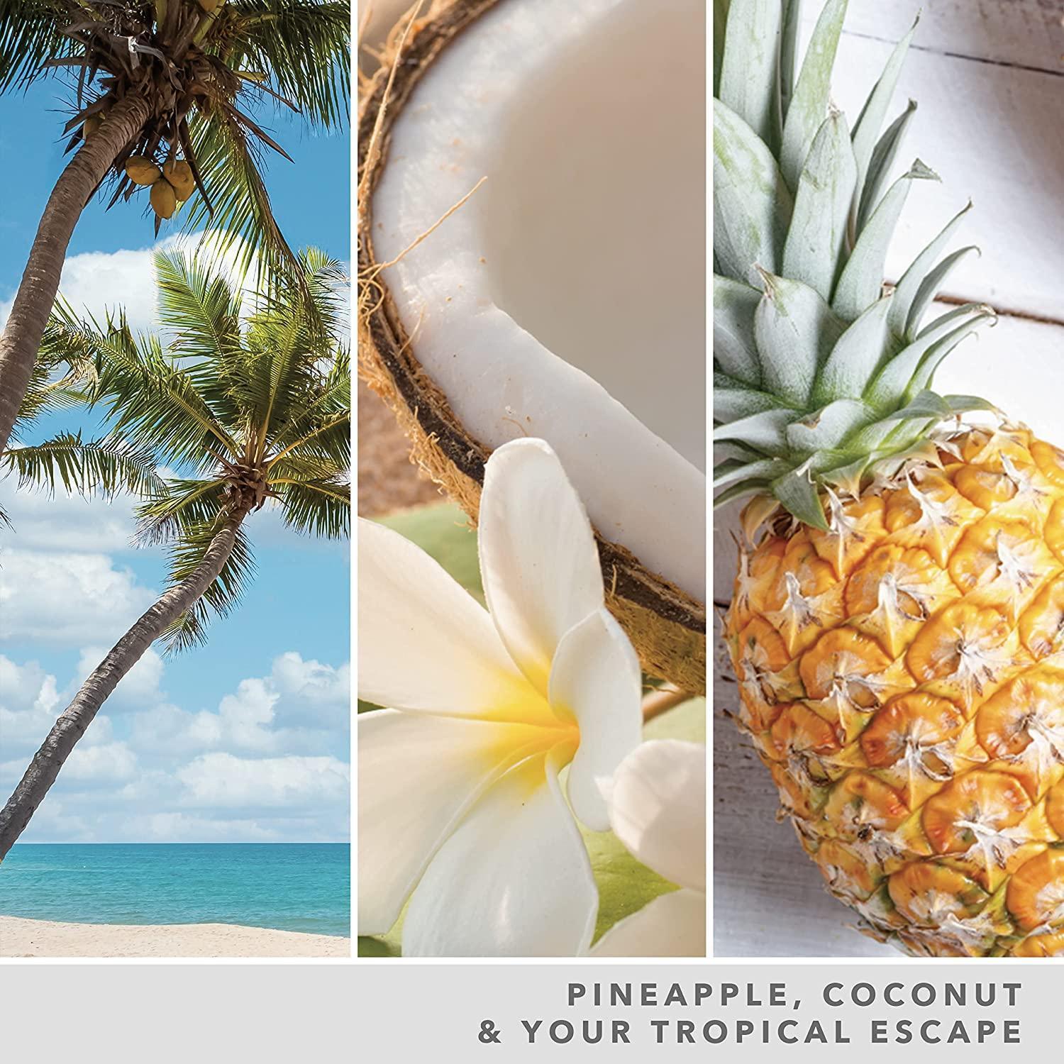 Yankee Candle Signature Large Jar - Coconut Beach Scented Candle - Image 4